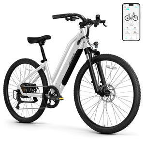 TST C622 26''36V 7.8A 350W Step Thru Ebike