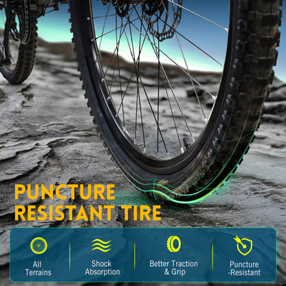 TST M612 26'' 36V 7.8A 350W Step Over Ebike