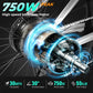 TST C622 26''36V 7.8A 350W Step Thru Ebike